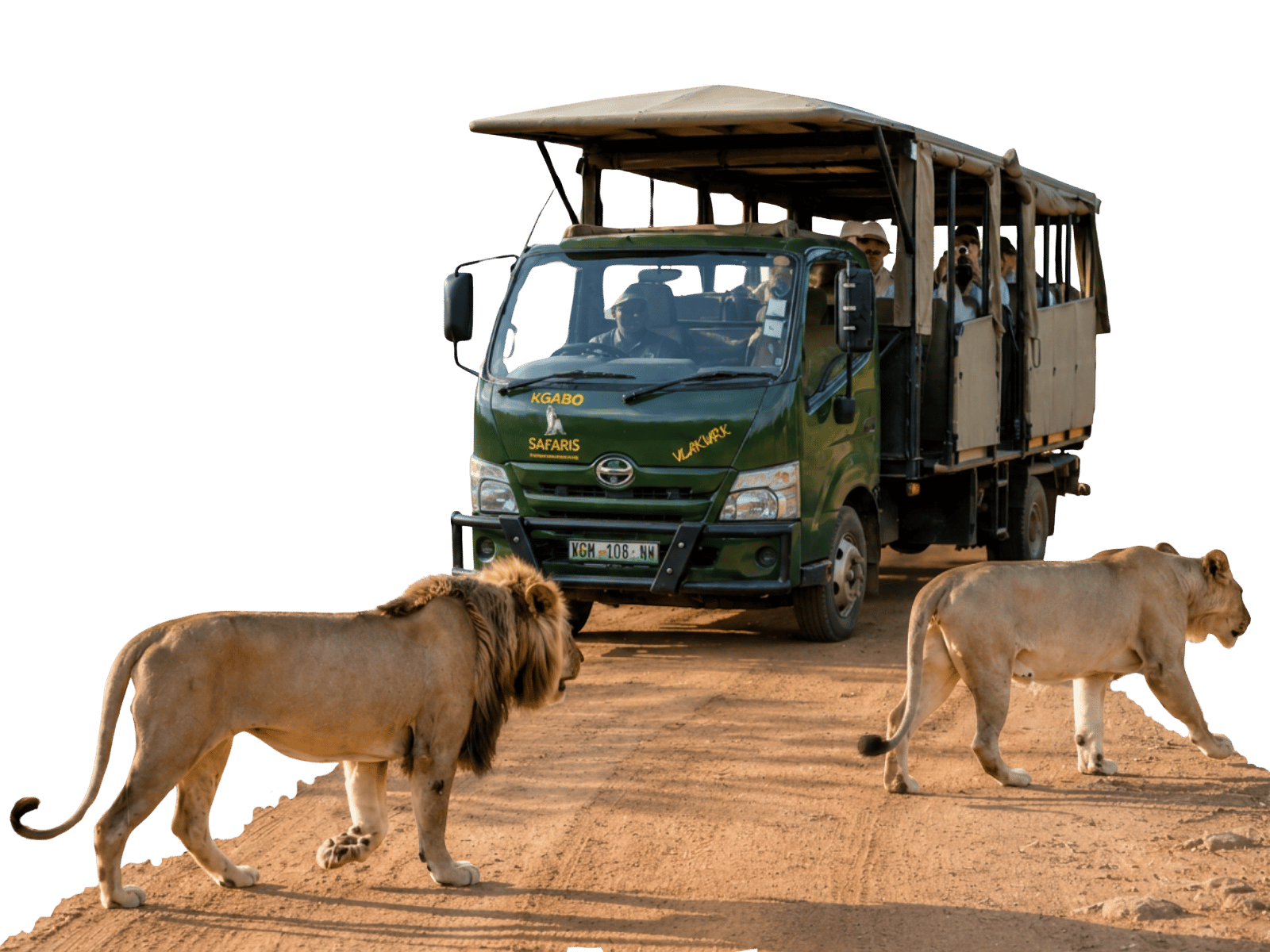 Kgabo Safaris Website Hero Image (2)