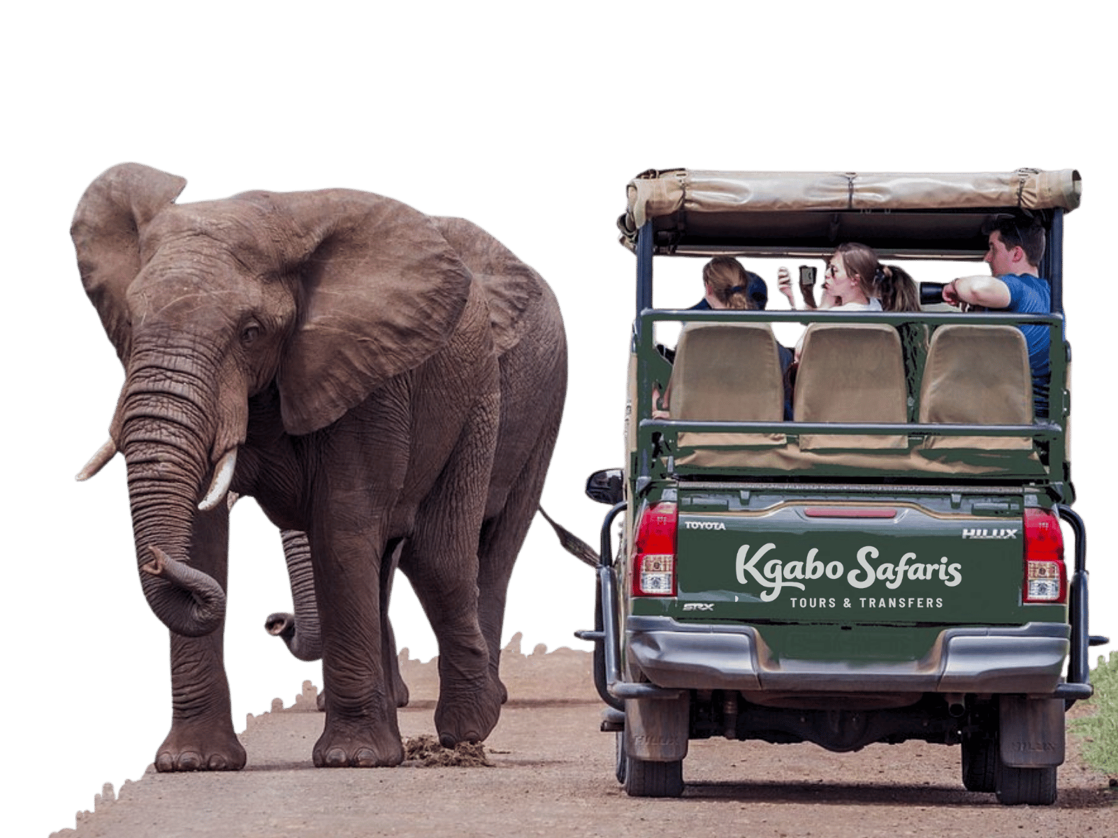 Kgabo Safaris Website Hero Image (4)