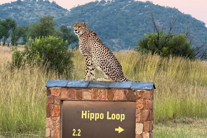 484624167_1844