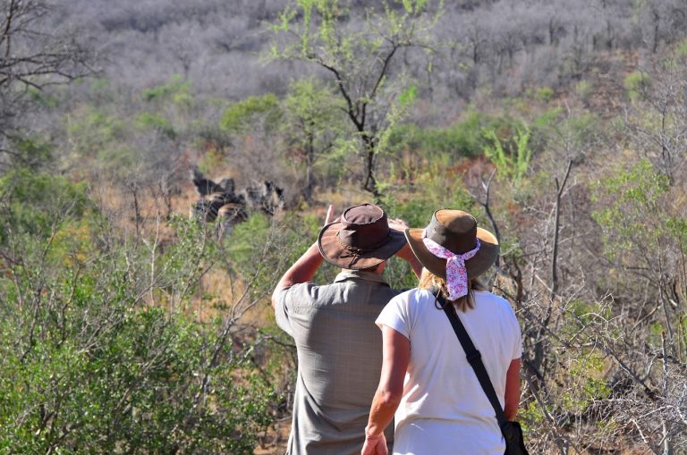 safaris-south-africa 11