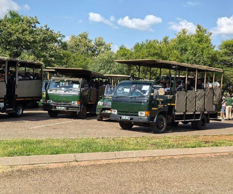 lovely-safari-days